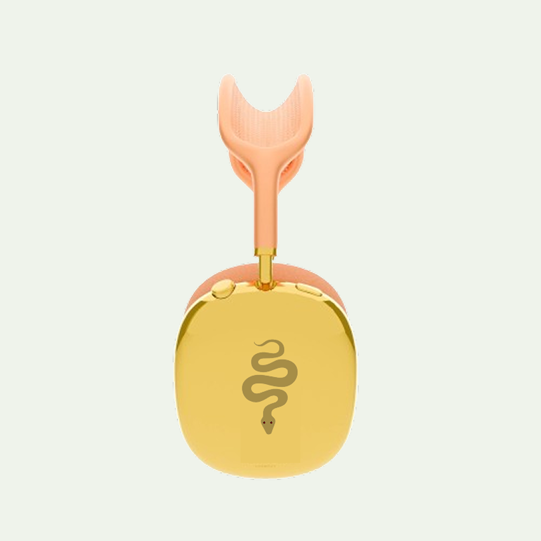 Orange Apple Airpod Max Gold Plated Edition